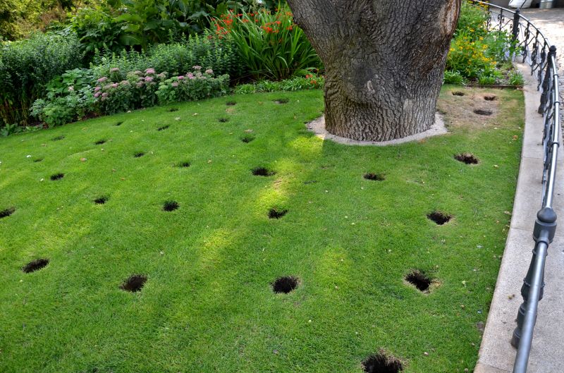 Yard Aeration