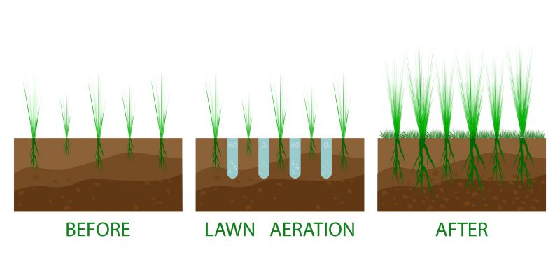 Yard Aeration